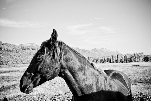 0020_Wyonming_To_Ketchem_Sun_Valley_ID_5L8Y7460