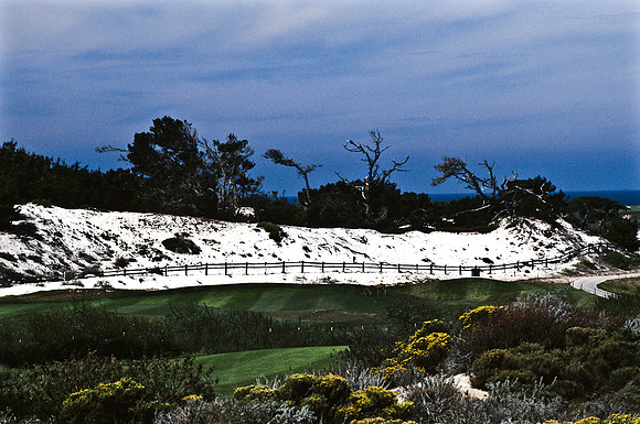 47938_B17_SL_COLOR_17M_DRIVE_CA_97_ CARMEL_CA_97_11.jpg