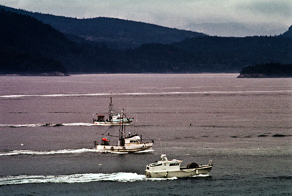 2547_SL_BOX_I_COLOR_OVKA_VICTORIA_CANADA_11