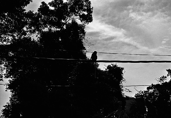 FILM