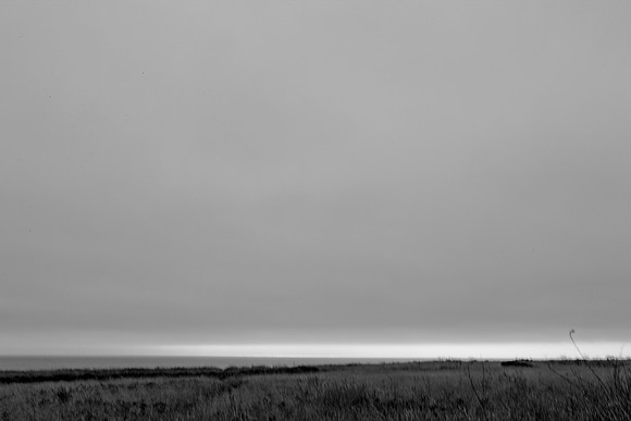 5L8Y0536