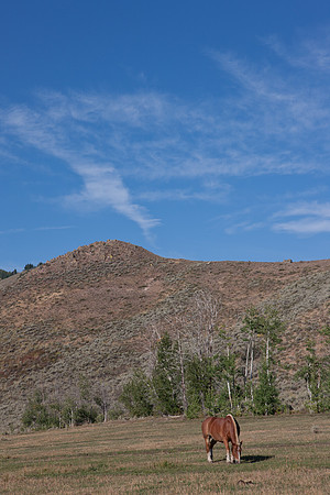 0021_Wyonming_To_Ketchem_Sun_Valley_ID_5L8Y80021_005