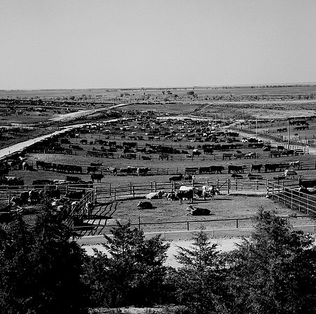 2451_B4P2_BW_SQ_DODGE_CITY_KANSAS_02_3.jpg