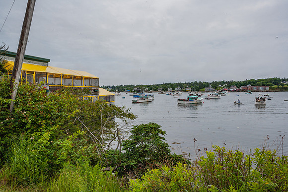 20060627_Maine_ZV4N0884