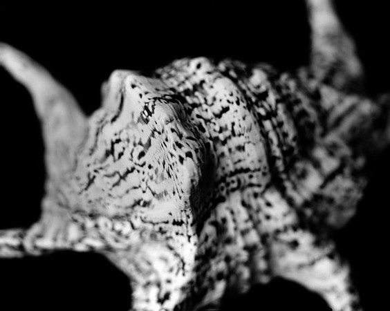 42430_A_Shells_