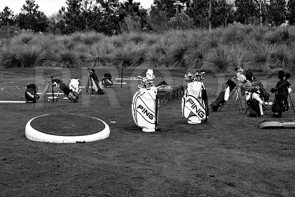 36205_DG_BW_USA_Osceola_County_Celebration_Town_FLZV4N8359