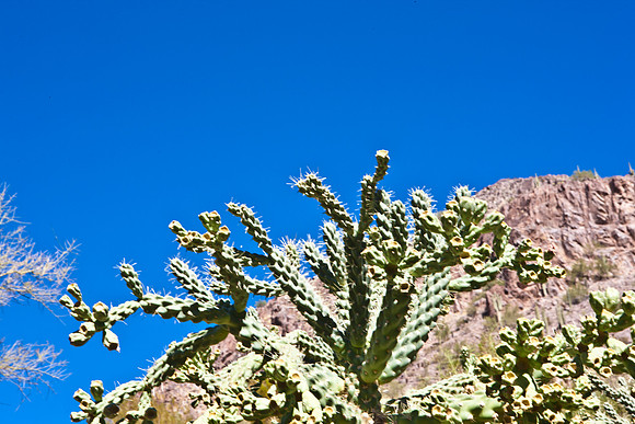 0031_La_Arizona_5L8Y5366