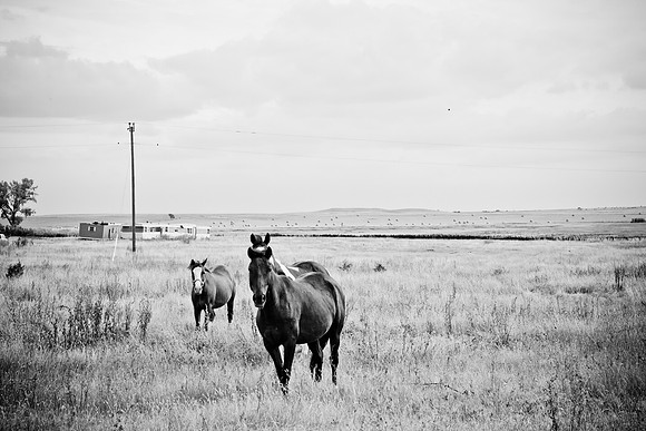 0044_North_Dacota_Fargo_to_South_Rapid_City_TO_CHEYENNE_5L8Y4144