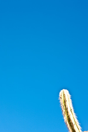 0031_La_Arizona_5L8Y5212