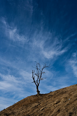 36483_DG_CALIFORNIA_USA_2007_ZV4N_0594