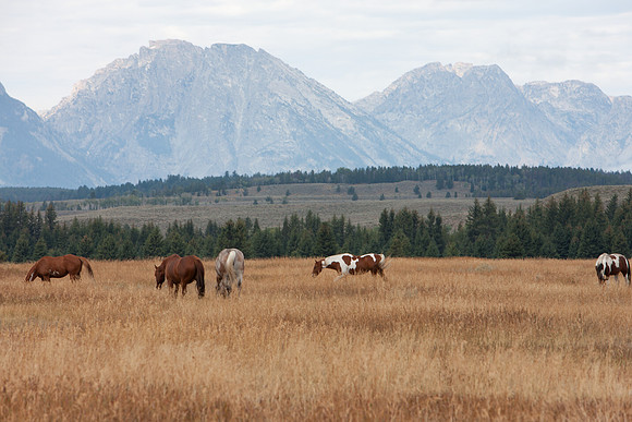 0020_Wyonming_To_Ketchem_Sun_Valley_ID_5L8Y7396