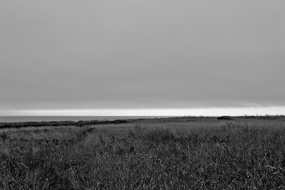 5L8Y0554