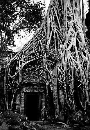 62456_2008_FM_BW_Temples_SlemReap_Cambodia_002