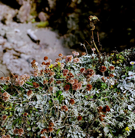 6028_FILM_COLOR_PACIFIC_HIGHWAY_LR_USA_CA_05_3.jpg