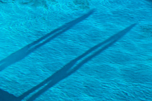85488_1596_Fisher_Island_FL_USA_reflections