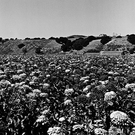 6033_FM_BW_HALFMOON_BAY_SLOVANG_CA_05_3.jpg