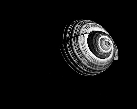 42421_FM_4X5_BW_GIANT_TUM_FL_04_01.jpg