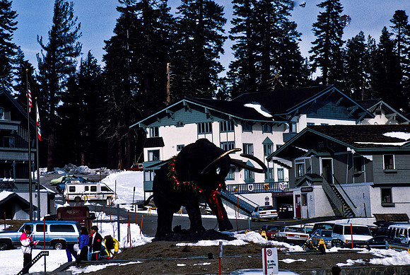 47943_B17_SL_COLOR_MAMOTA_YOSEMITE_CA_97_17.jpg