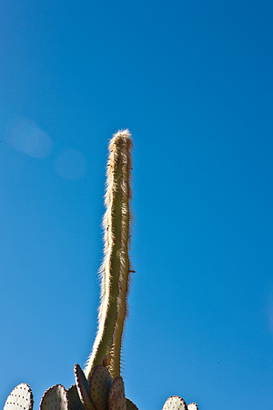 0031_La_Arizona_5L8Y5527