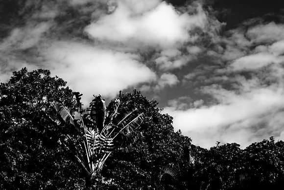 0042_DG_Fisher_Island_Miami_FL5L8Y1829