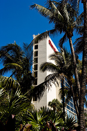 36181_DG_Color_USA_Miami_FL_Related_GroupZV4N9631