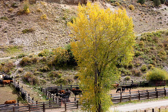 200828_DVD12_DG_USA_Aspen_1590_full_blead