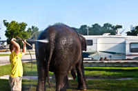 42588_Circus_Miami__Park__IMG_6315