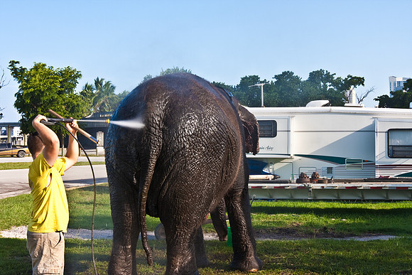 42588_Circus_Miami__Park__IMG_6315