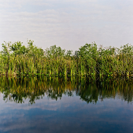 33931_FM_COLOR_SQ_EVERGLADES_FL_03_02.tif