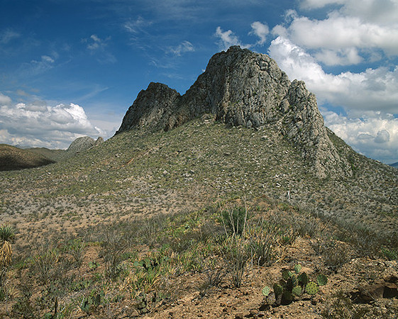 4000_20080719_ADS_Mexican_Landscape_Mexico_113