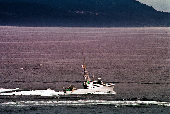 2547_SL_BOX_I_COLOR_OVKA_VICTORIA_CANADA_15