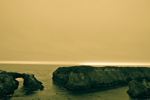 5L8Y0671
