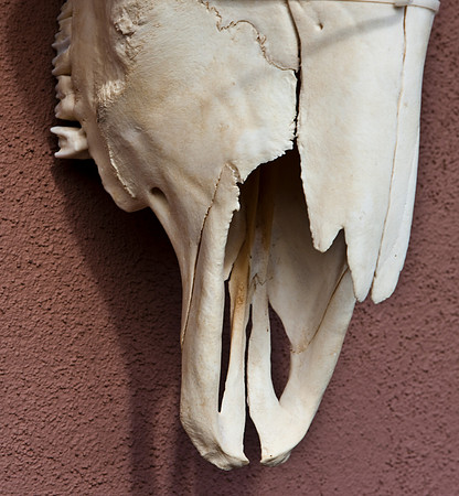 20081020_DVD64_DG_USA_Santa_Fe_5L8Y8627_full_blead