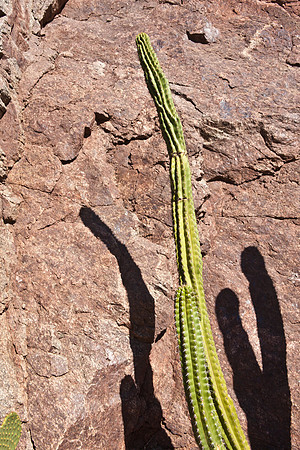 0031_La_Arizona_5L8Y5530