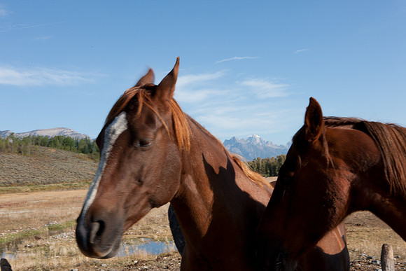 0020_Wyonming_To_Ketchem_Sun_Valley_ID_5L8Y7455