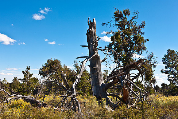 0020_Wyonming_To_Ketchem_Sun_Valley_ID_5L8Y7827