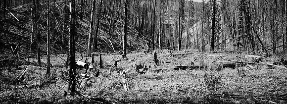 7551_FM_BW_XPAND_AZ_01_6.jpg