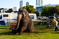 42588_Circus_Miami__Park__IMG_6356