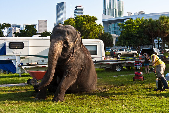 42588_Circus_Miami__Park__IMG_6356