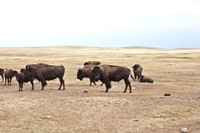 0044_North_Dacota_Fargo_to_South_Rapid_City_TO_CHEYENNE_5L8Y4160