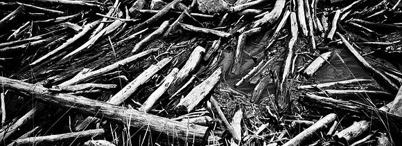 6086_FM_BW_VERMILLION_CO_05_10.jpg