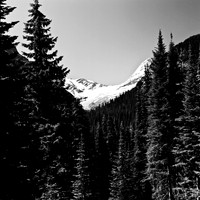 36097_6_03_COLOR_SQ_Glasier_MONTANA_03_COLOR_SQ_Glasier_MONTANA_03_08.jpg