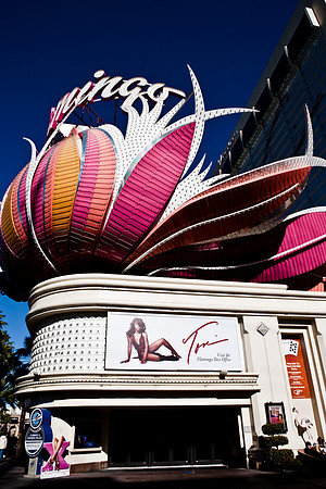 06651_DG_COLOR_LAS_VEGAS_NEVADA_NV_USA_2007_ZV4N_3422