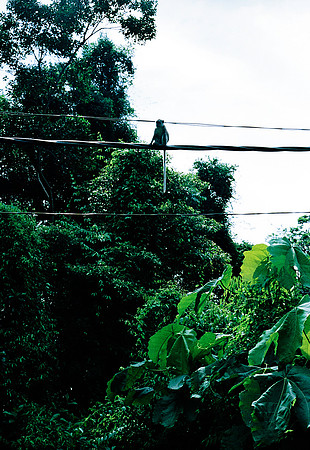 FILM