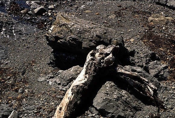47935_B17_SL_COLOR_COAST_SAN_SIMEON_AND_UP_CA_97_11.jpg