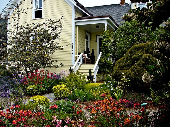 36538_DG_COLOR_MENDOCINO_CALIFORNIA_CA_USA_2007_DSC_01645