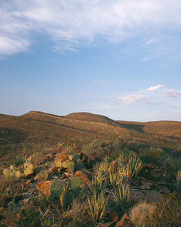 4000_20080719_ADS_Mexican_Landscape_Mexico_048