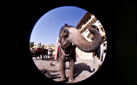 47302_SL_COLOR_INDIA_1987_19