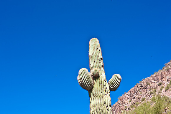 0031_La_Arizona_5L8Y5438
