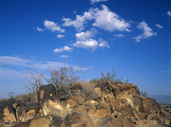 4000_20080719_ADS_Mexican_Landscape_Mexico_P056
